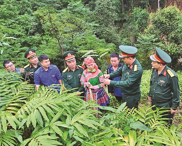Đoàn Kinh tế - Quốc phòng 313: "Gieo niềm tin, tiếp động lực" nơi biên cương